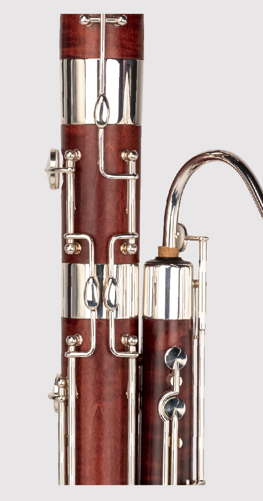 Thore- Fagot Artist Star