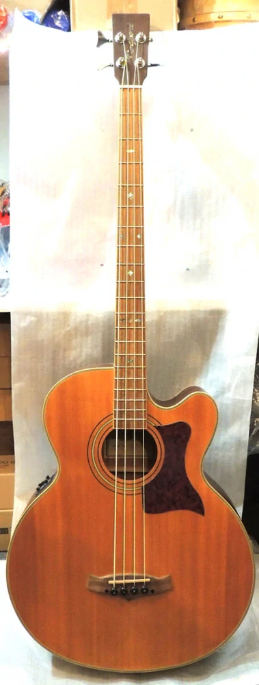 Elektroakustická baskytara TANGLEWOOD