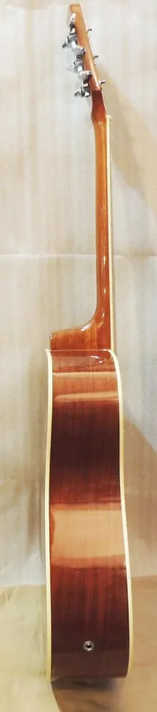 Levoruká elektroakustická kytara SHERWOOD