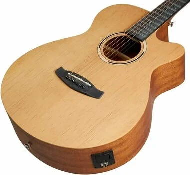 Elektroakustická kytara TANGLEWOOD