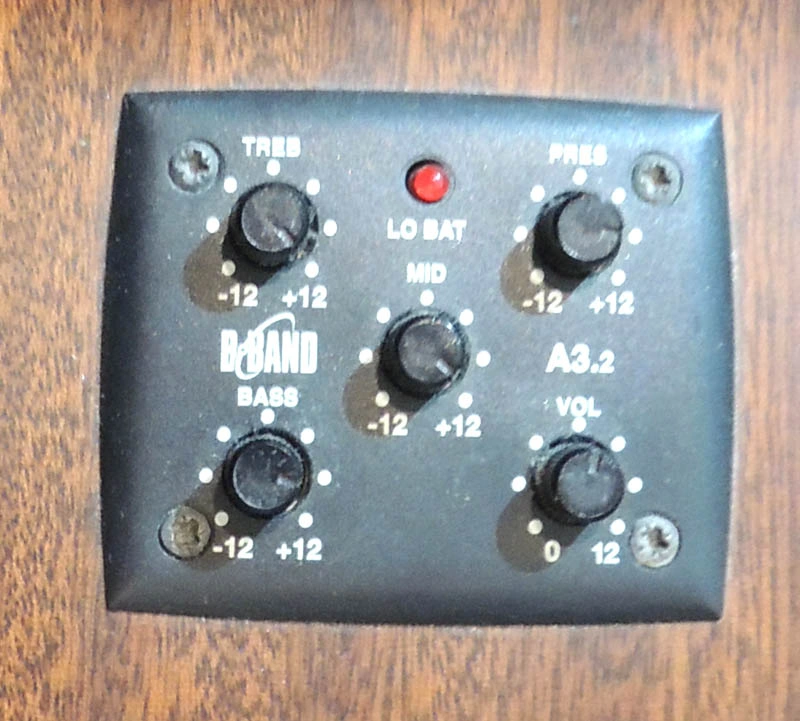 Elektroakustická baskytara TANGLEWOOD