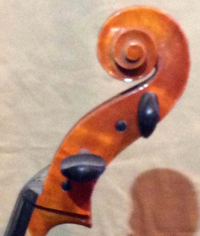 1/2 violoncello