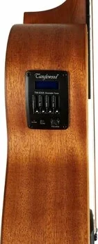 Elektroakustická kytara TANGLEWOOD