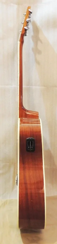 Levoruká elektroakustická kytara SHERWOOD