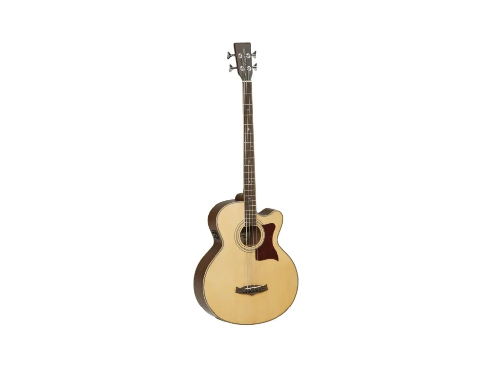 Elektroakustická baskytara TANGLEWOOD