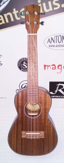 Koncertní ukulele KAHUA KA-24 AC