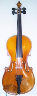 3/4 housle STAINER