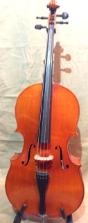 1/2 violoncello